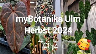 myBotanika Ulm 🌱  Herbst 2024 🍁  Teil 2 💚 [upl. by Nnelg887]