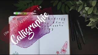 LA CALLIGRAPHIE  comment ne pas apprendre Bullet journal français [upl. by Atul137]