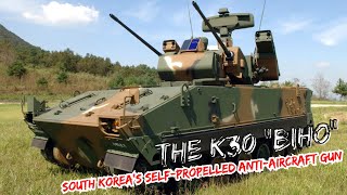 The K30 quotBihoquot South Koreas SelfPropelled AntiAircraft Gun SPAAG [upl. by Dlonyar]