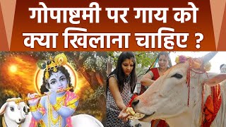 Gopashtami 2022  गोपाष्टमी के दिन गाय को क्या खिलाना चाहिए । BoldskyReligious [upl. by Ark368]