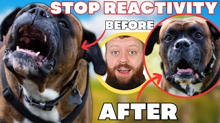 How To Fix Reactive Dog In 3 Simple Steps [upl. by Henrieta859]