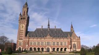 What is the International Court of Justice The Role and Activities of the ICJ [upl. by Nlycaj]