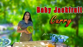 Baby Jackfruit Curry  Polos Ambula   Funkitchen [upl. by Yllop]