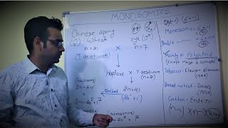 Monosomics Part 1 Methods of production of monosomics [upl. by Immas]