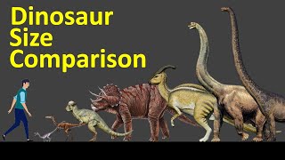 Dinosaur Size Comparison [upl. by Annoik]