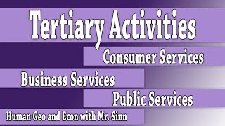 Tertiary Sector Types of Services [upl. by Wier830]