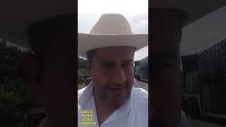 CARLOS MANZO EL DEL SOMBRERO [upl. by Inkster]