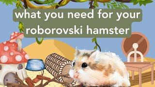 What you need for your roborovski  getting supplies for your hamster [upl. by Hteb]