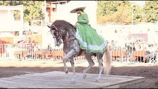 CABALLOS BAILADORES EN LA EXPO GANADERA JALISCO 2021  Cat Infantil [upl. by Nunnery]