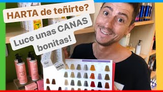 4 pautas para pasarse a las CANAS y dejar los tintes Luce ORGULLOSA tu nuevo look de canas [upl. by Oiciruam]