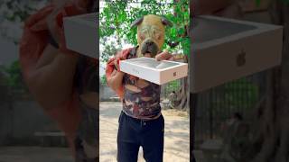 The story of the dog giving the man an iPhone 📱 dog trending viralvideo shortvideo iphone [upl. by Yellac276]