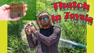 Thatch in Zoysia Grass How to Maintain and Get Rid of Thatch in Zoysia Turf [upl. by Eeldivad]