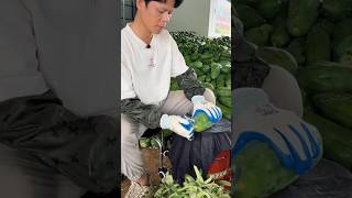 Turnover of millions from papaya cultivation 😱💯shorts youtubeshorts ytshorts shortvideo [upl. by Reisch]