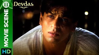 Devdas Full Movie Story amp Review  Shah Rukh Khan  Madhuri Dixit  Aishwarya Rai  Jackie Shroff [upl. by Nyladgam]