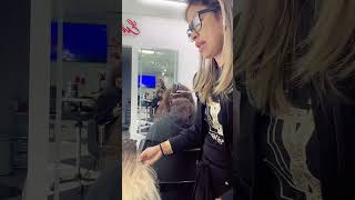 Extensiónes de cabello cosidas pasó a paso [upl. by Reyotal]