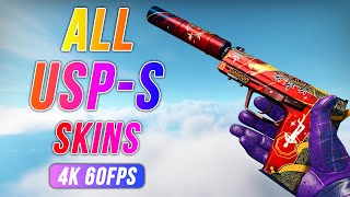 ALL USPS Skins with Prices CSGO  4K 60FPS [upl. by Nananne]