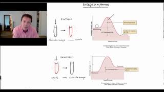 Energiediagrammen  Scheikundelessennl [upl. by Ahab961]