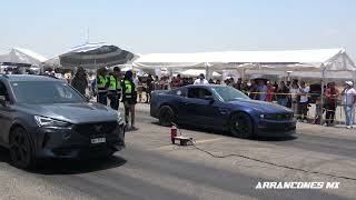 Formentor Cupra vs Mustang Coyote  Drag Racing [upl. by Yenahc232]