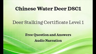 DSC1 Chinese Water Deer Section QampA Deer Stalking Certificate 1 FREE Resources Main Paper Revision [upl. by Kuehn]