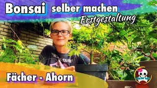 Bonsai selber machen  Ahorn Bonsai  Fächer Ahorn  Orange Dream  Bonsai selber ziehen [upl. by Magocsi653]