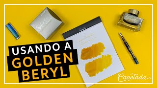 Primeiras Impressões da Pelikan Edelstein Golden Beryl [upl. by Leandra]