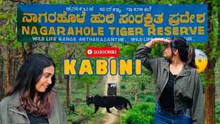 KABINI forest safari 🐯🦁ಕಬಿನಿ ಅರಣ್ಯ ಸಫಾರಿ complete guide  time  💰booking  ಕನ್ನಡ [upl. by Maddox]