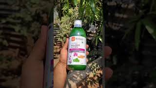 Thyro balance juice  one Solution for all thyroid problems  thyroid thyroidproblems [upl. by Adigun]