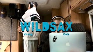 Viraag Cele  WildSax Visualizer [upl. by Schiffman]