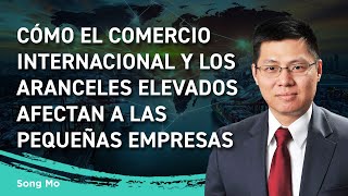 Cómo el comercio internacional y los aranceles elevados afectan a las pequeñas empresas [upl. by Erehc]