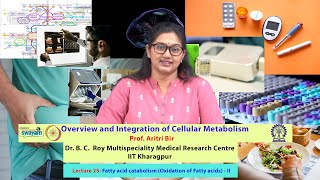 Lecture 25 Fatty acid catabolism Oxidation of Fatty acids  II [upl. by Haggerty]