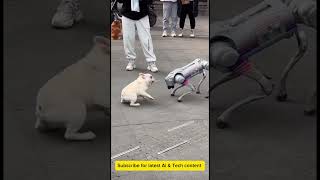 ai robot dog who you think would win 🏆 ai [upl. by Euqirne]