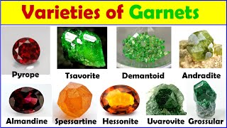 Varieties of garnets gemstones Pyrope Almandine Spessartine Demantoid Tsavorite [upl. by Droffats20]