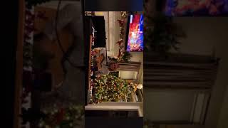 Avery sings Celtic Thunder’s song “1915 Christmas Day” [upl. by Ailaro]