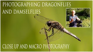 Photographing Dragonflies and DamselfliesClose up and Macro Photography [upl. by Ynotna]