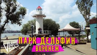 Воронеж Парк Дельфин к чему привела реконструкция парка [upl. by Enimaj618]