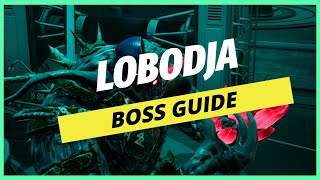 Dolmen  Lobodja BOSS GUIDE [upl. by Friedberg300]