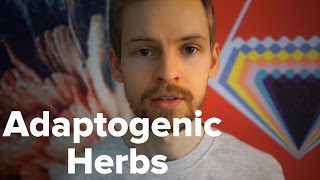 My Experiences with Adaptogenic Herbs [upl. by Diskson]