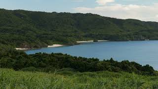 Ishigaki island forest [upl. by Grassi36]