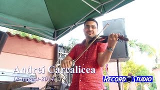 ANDREI CARCALICEA  UN MAESTRU AL VIORII  Colaj SARBA INSTRUMENTALA [upl. by Mosier352]