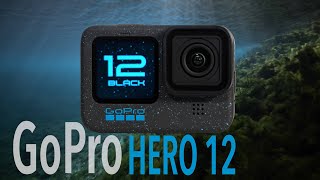 GOPRO HERO 12 Underwater Test  WATCH BEFORE PURCHASING [upl. by Ilil]