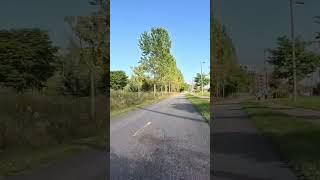 Relaxing afternoon bicycle ride Quebec City Fall  7 shorts [upl. by Akli736]