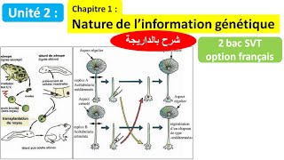 information génétique 1 bac sm et pour 2 bac [upl. by Hilar447]