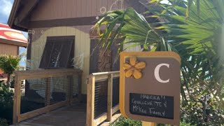 Serenity Bay Cabanas at Lookout Cay [upl. by Ches]