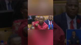 Julius Malema Funniest Moments  Julius Malema funny moments in parliament [upl. by Lebasy]