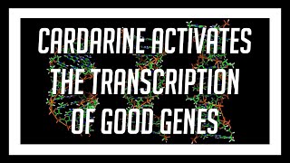 Cardarines Regulation of Gene Expression through the PPAR Receptor  A Cascade of Benefits [upl. by Adnirem]