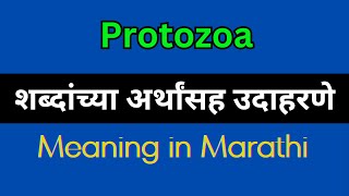 Protozoa Meaning In Marathi  Protozoa explained in Marathi [upl. by Seltzer]