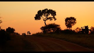 Mafunyane Luxury Honeymoon Suite Kambaku River Lodge [upl. by Qulllon]