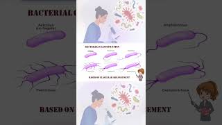 Types of bacteria based on its flagellar arrangements [upl. by Egedan]