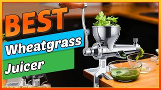 ✅ Best Wheatgrass Juicer– Which Is Right for You [upl. by Agee]