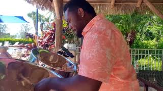 Under the Sea The little mermaid  Steelpan cover  Ravon quotSteelyquot Rhoden [upl. by Creight874]